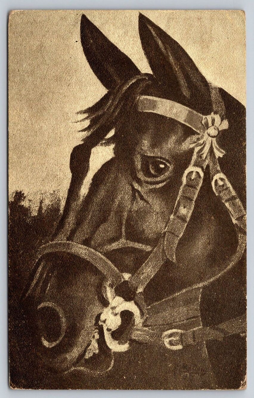 Antique Horse Portrait Postcard 1910s 1c Green Ben Franklin Stamp Pendleton OR